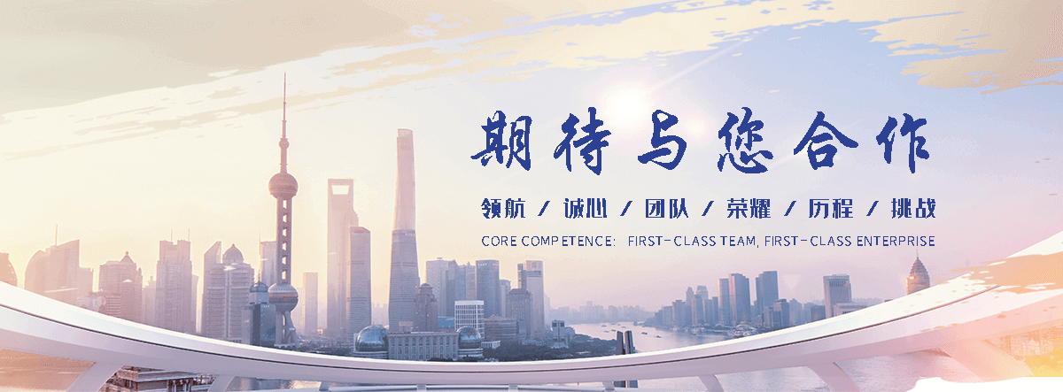 塔城网站S.E.O排名